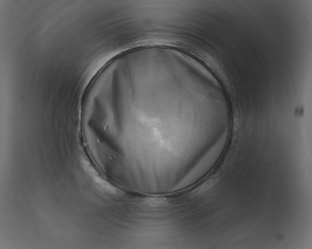 X0000110730844200906261517