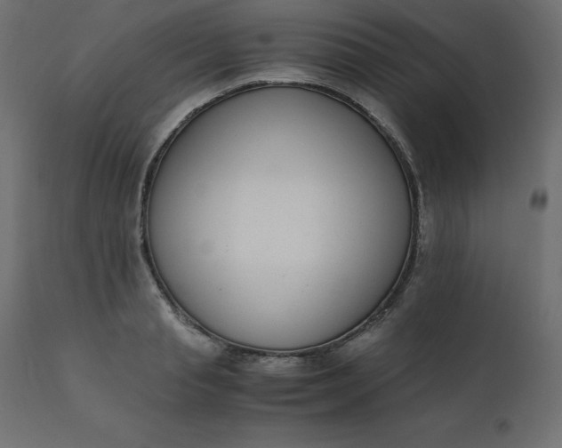 X0000110730845200906261517