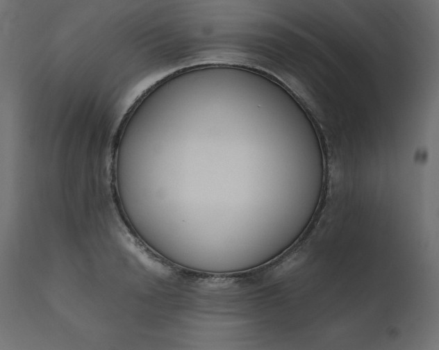 X0000110730846200906261517