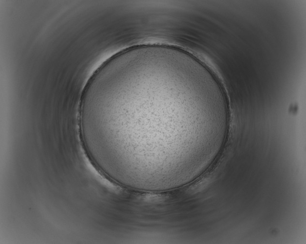 X0000110730847200906261517