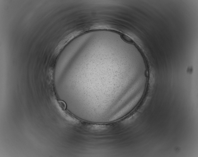 X0000110730849200906261517