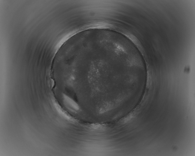 X0000110730850200906261517