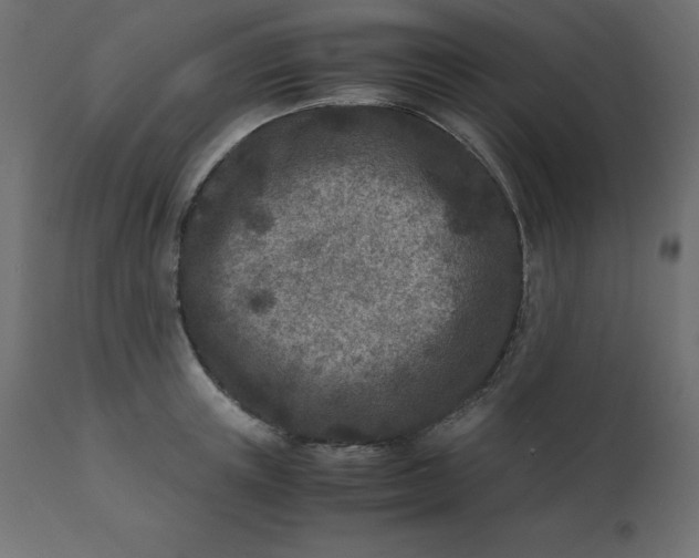 X0000110730851200906261517