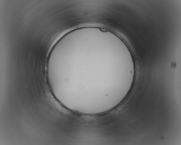 X0000110730852200906261517