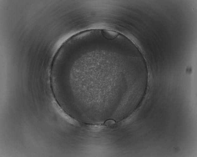 X0000110730854200906261517