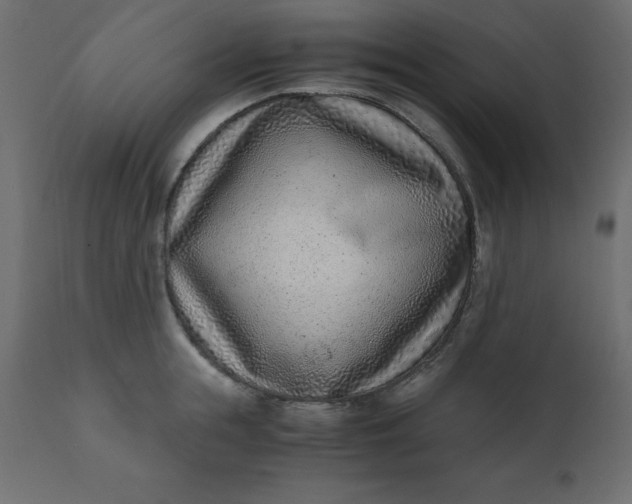 X0000110730855200906261517