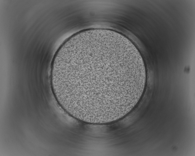 X0000110730856200906261517