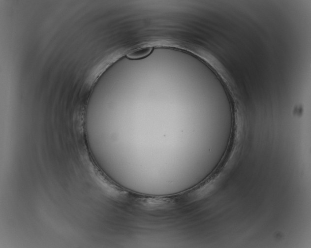 X0000110730857200906261517