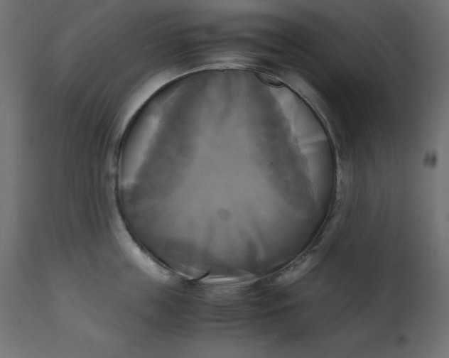 X0000110730859200906261517