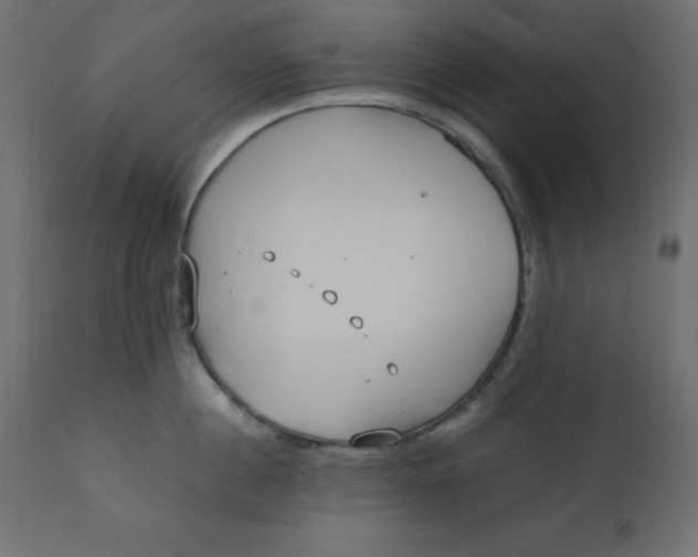 X0000110730860200906261517