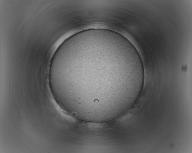 X0000110730861200906261517