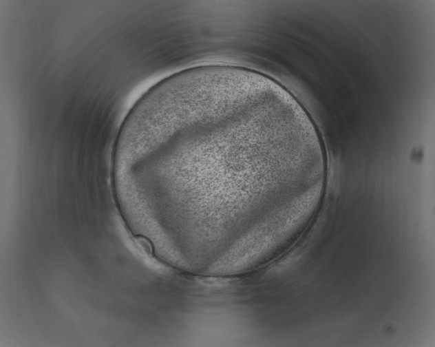 X0000110730862200906261517