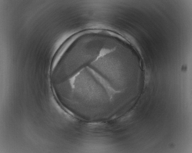 X0000110730863200906261517