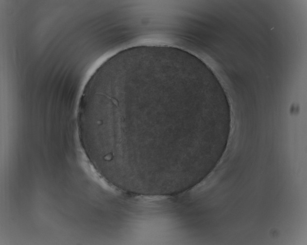 X0000110730864200906261517