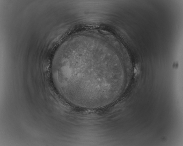 X0000110730867200906261517