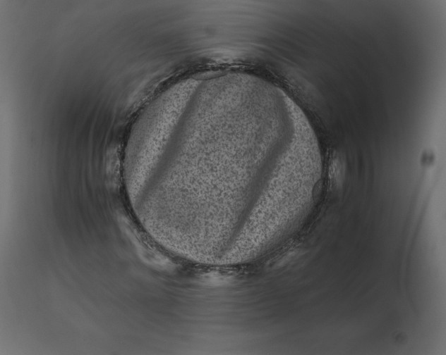 X0000110730868200906261517