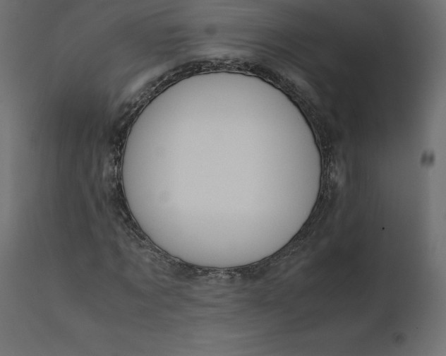 X0000110730869200906261517