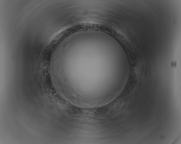 X0000110730870200906261517