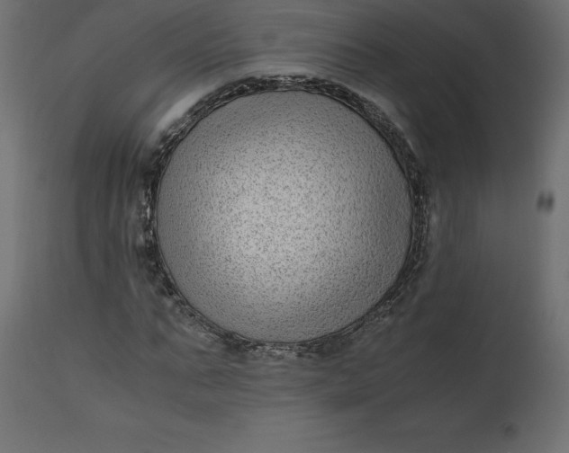 X0000110730871200906261517