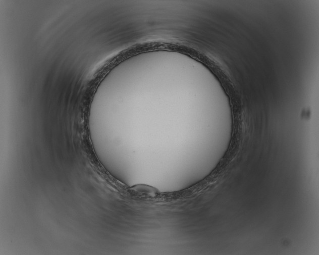 X0000110730872200906261517