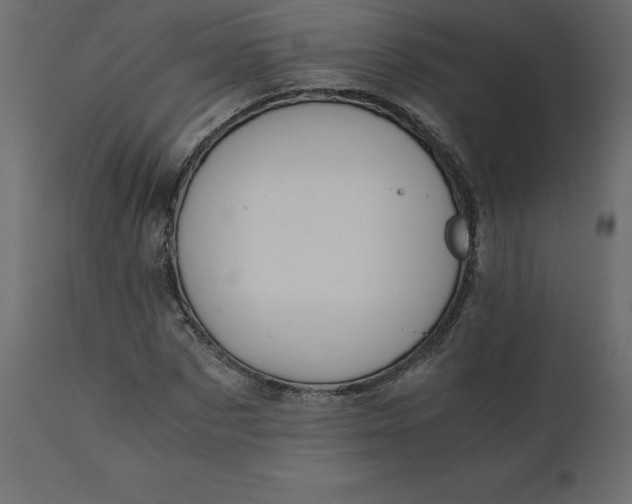 X0000110730873200906261517