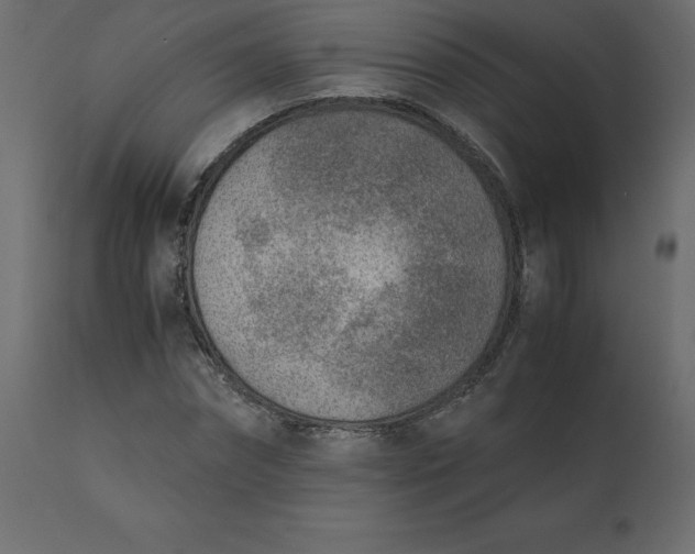 X0000110730874200906261517