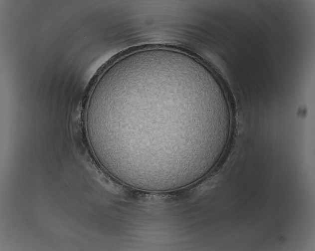 X0000110730875200906261517