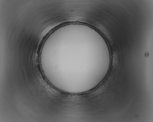 X0000110730876200906261517