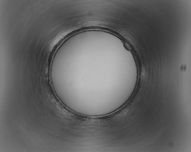 X0000110730877200906261517