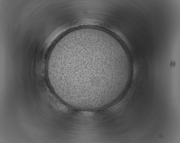 X0000110730878200906261517