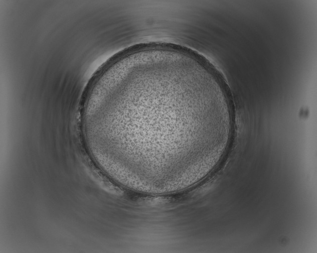 X0000110730879200906261517