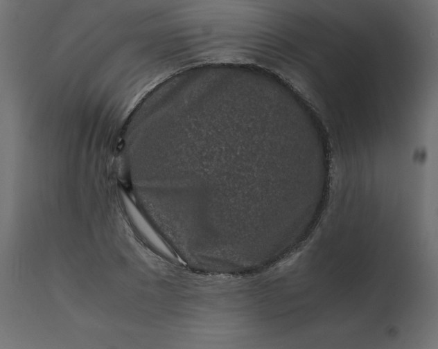 X0000110730881200906261517