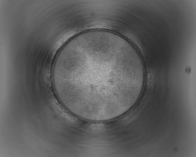 X0000110730882200906261517