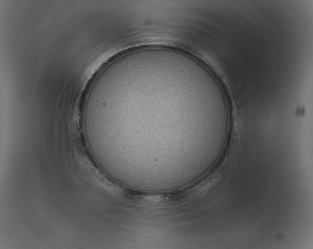 X0000110730883200906261517