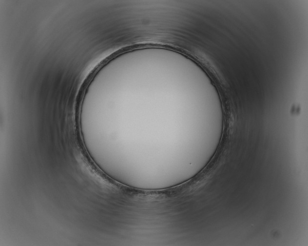 X0000110730884200906261517