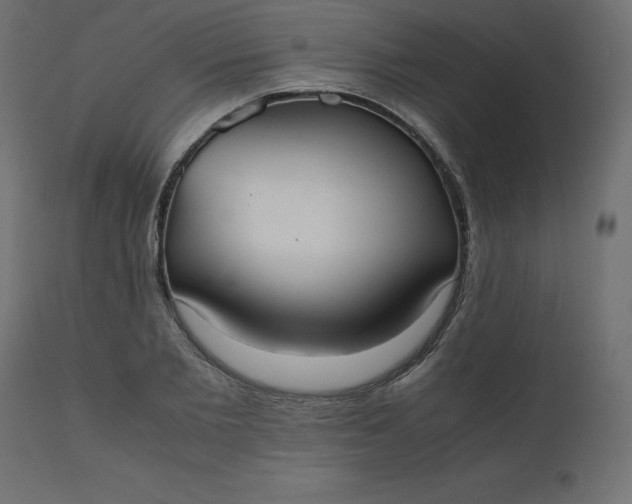 X0000110730885200906261517