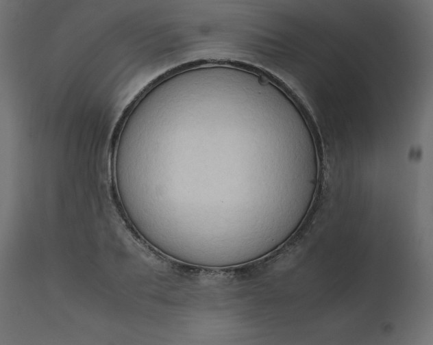 X0000110730887200906261517