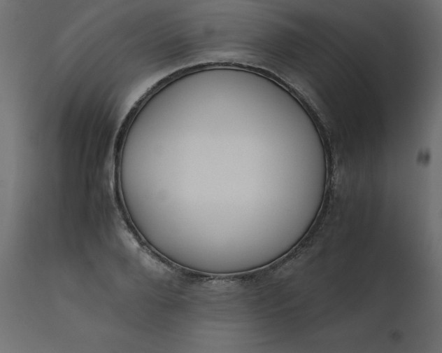 X0000110730888200906261516