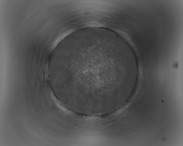 X0000110730889200906261516