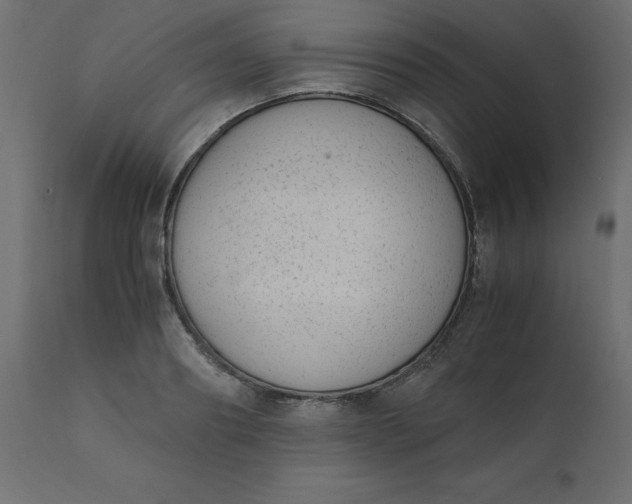 X0000110730890200906261516