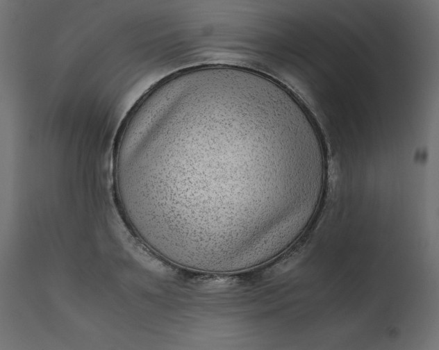 X0000110730891200906261516