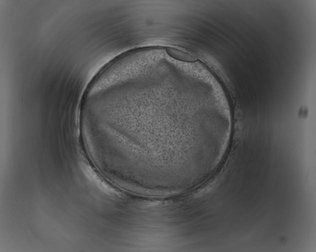 X0000110730892200906261516