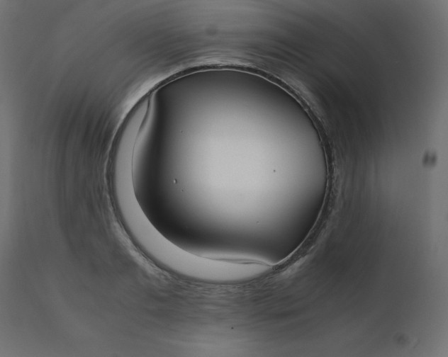 X0000110730893200906261516