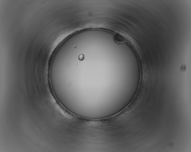 X0000110730894200906261516