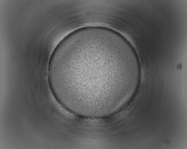 X0000110730895200906261516