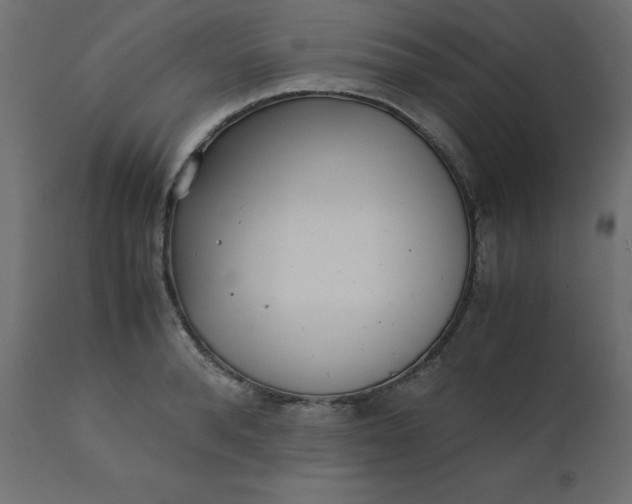 X0000110730896200906261516