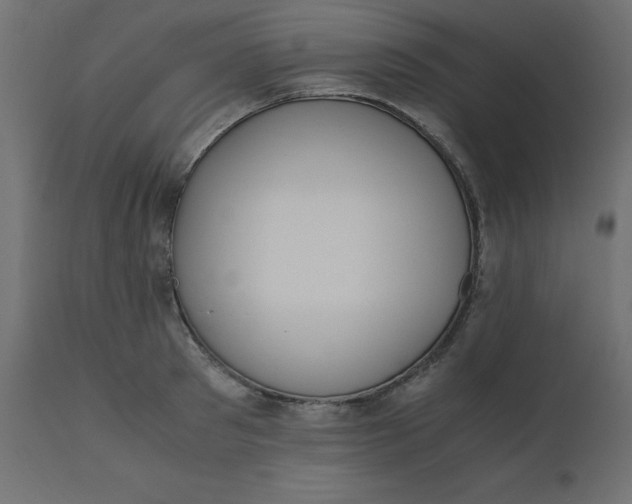 X0000110730897200906261516