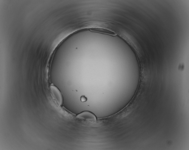 X0000110730900200906261516