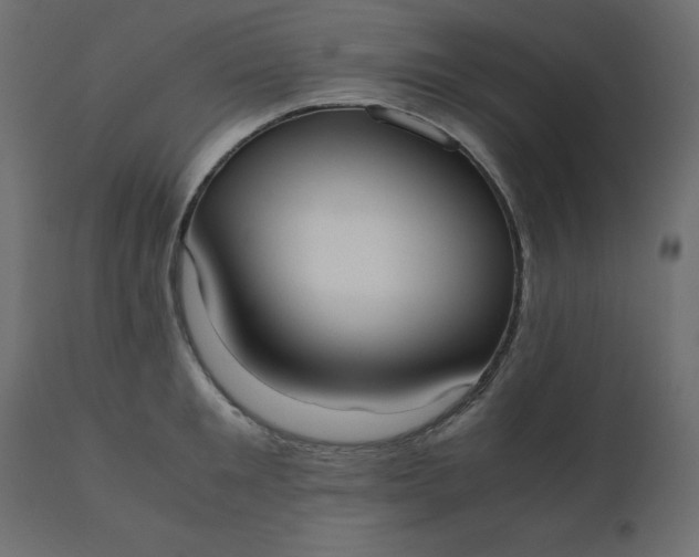 X0000110730901200906261516