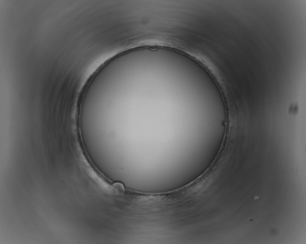 X0000110730902200906261516